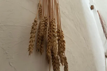 鶴岡市のblanc blanc gastropubの店内アート